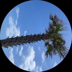 Meet your Posher, Jillian